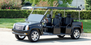 affordable golf cart rental, golf cart rent ormond beach golf cart rental