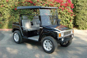 affordable golf cart rental, golf cart rent ormond beach golf cart rental